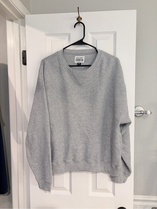 American Eagle Outfitters Tops - American Eagle Seriously Lived In Gray Crewneck Sweatshirt Large